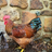 ChickenMomma84