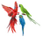 Exotic Parrot Shop
