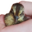 Esc_Quaily
