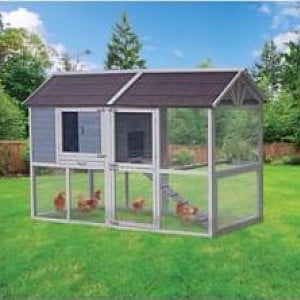 Precision Walk In Red Barn Chicken Coop Backyard Chickens