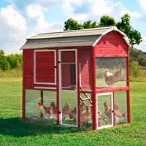 Precision Walk In Red Barn Chicken Coop