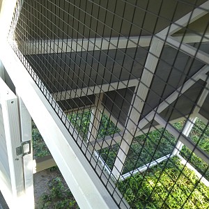 Precision Roosting Ladder Chicken Coop Backyard Chickens