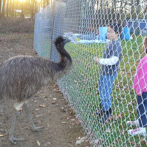 Emu Pix