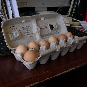 Eggs