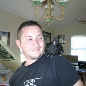 My Silkies