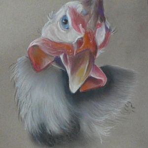 Artfulwings Art - Pet and Poultry Art
