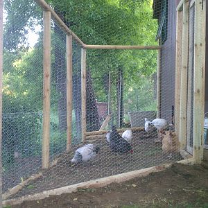 My Coop