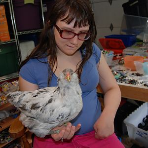 2nd hatch June 29th