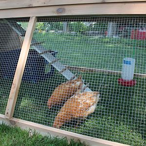 Chickadillo Ark construction