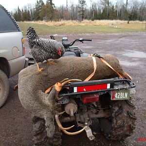 Deer season