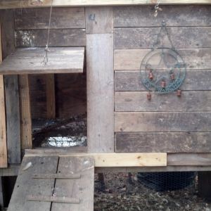 The coop