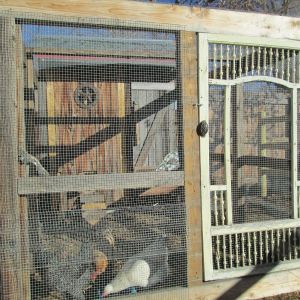 chicken coops