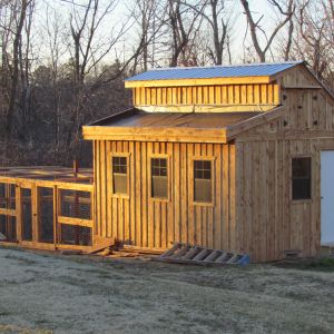 Chicken Coop/Garden Shed