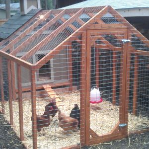 The new coop