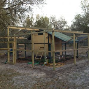 Our coop/aviary