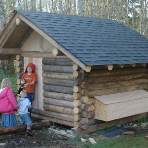 RJ's Log cabin coop