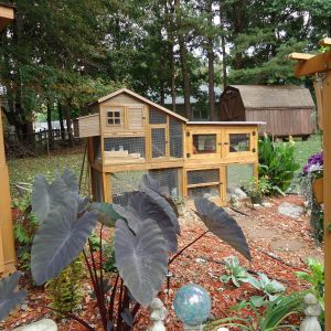 The Chicken Condo