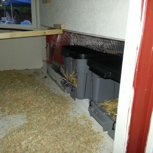 Chicken Coop