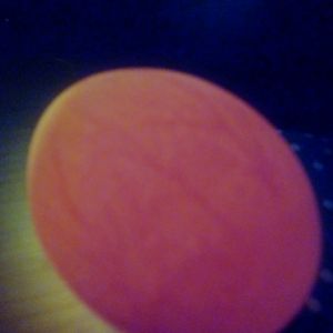 Candling BR eggs