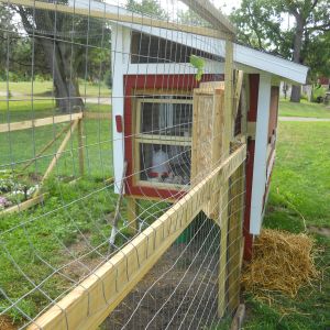 new chicken coop