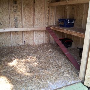 New large hen house