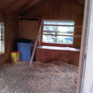Building the Chicken Playhouse Coop