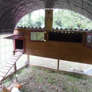Finished Chicken Tractor/Condo
