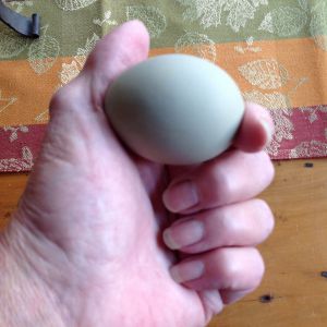 First Egg