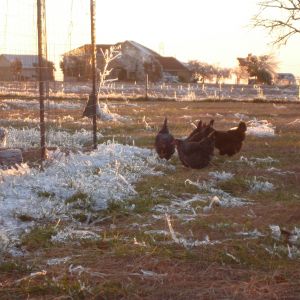 Winter 2013