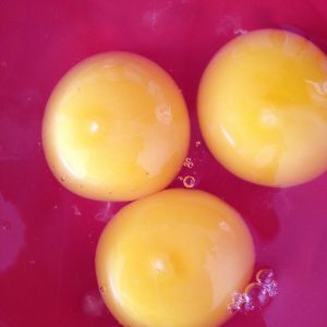 My black orpington eggs