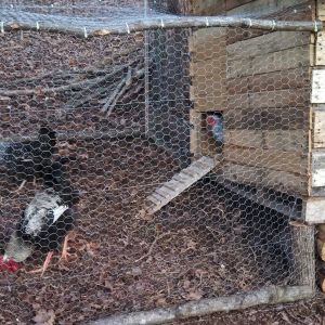 reclaimed material coop