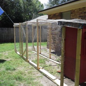 My coop