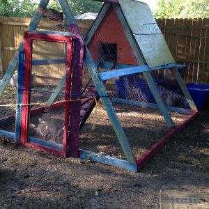 Our first hen house. Chickens are happy and we have done great with them so faf