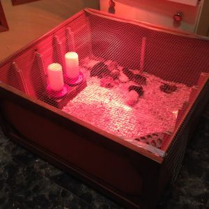 Dresser Brooder