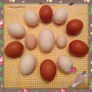 Egg art!!