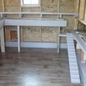 Chicken Coop