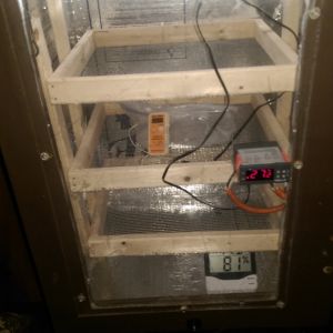 Incubator build