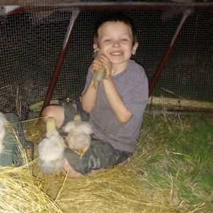 The Farm