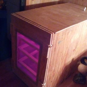 My first incubator