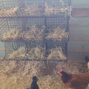 Nesting cubby