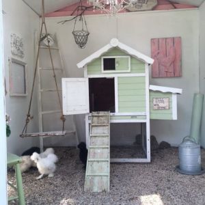 Our New Shabby Chic Coop for our Silkies
