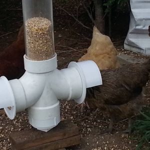 New Feeder