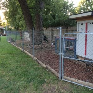 Upgrades to the Pen and coop