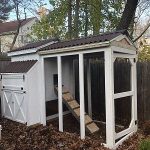 Chicken Coop