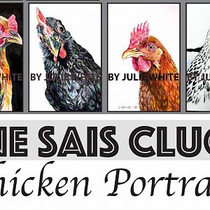 chicken portraits