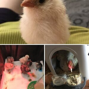 May babies bring hope