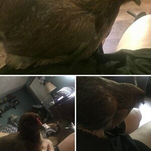 From 6 months to 6 years of age