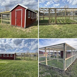 Chicken Coop