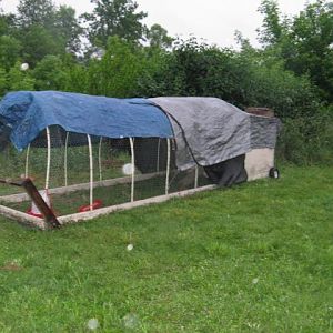 chicken tractor.4'x4' coop with 12' run