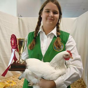 My Daughter Cheyenne & her Dalaware from The Pampered Pullets Farm won breed, class and Reserve LF @ the 2011 Inverness Florida show